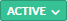 active.png