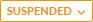 suspended.png
